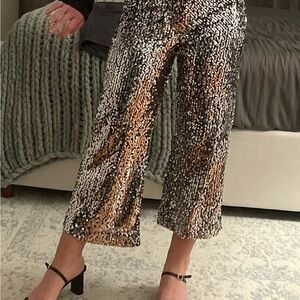 Anthropologie Silver Sequin Colette Pants